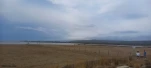 405