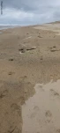 20260514 145021