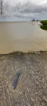 20260516 084939